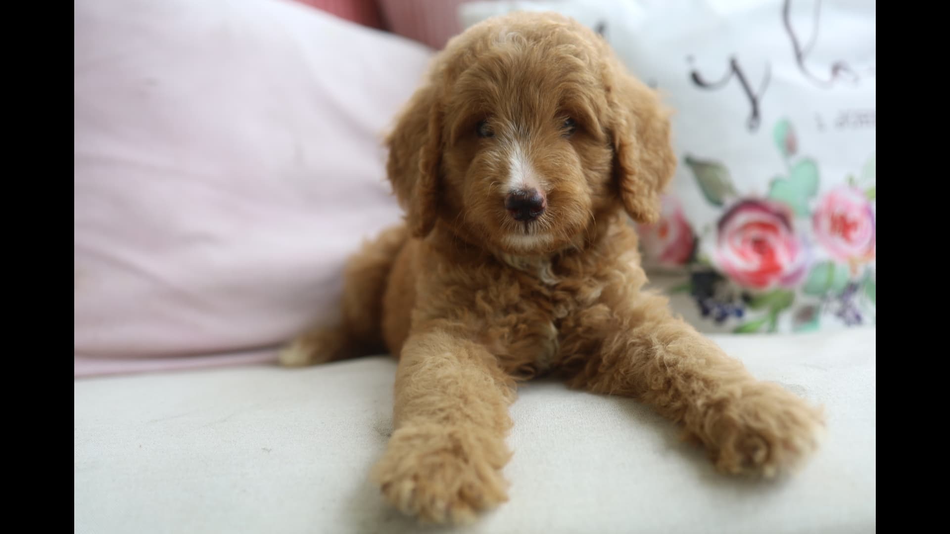 Casper